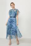 Coast Mesh Printed Dress With Pleated Skirt thumbnail 2