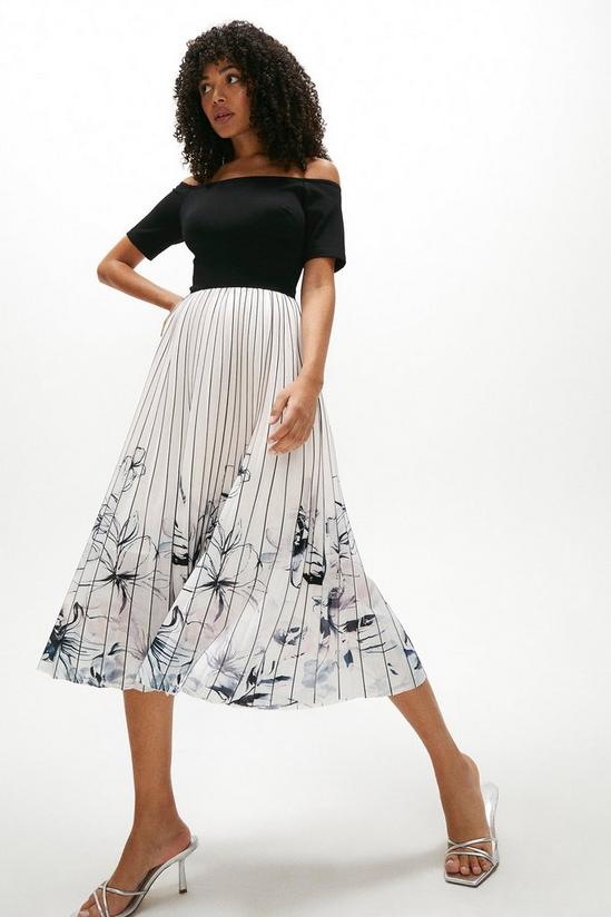 Coast Mirabeau Pleated Skirt Dress 1