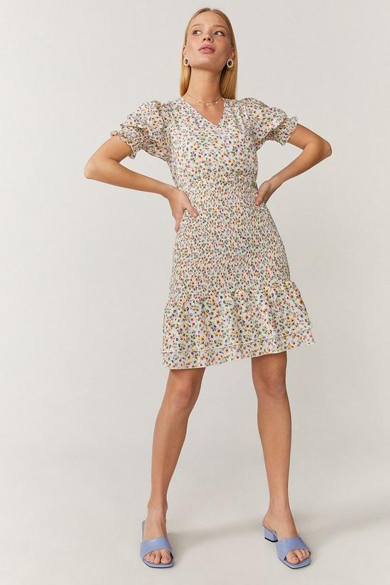 Coast Shirred Skirt Mini Dress 5