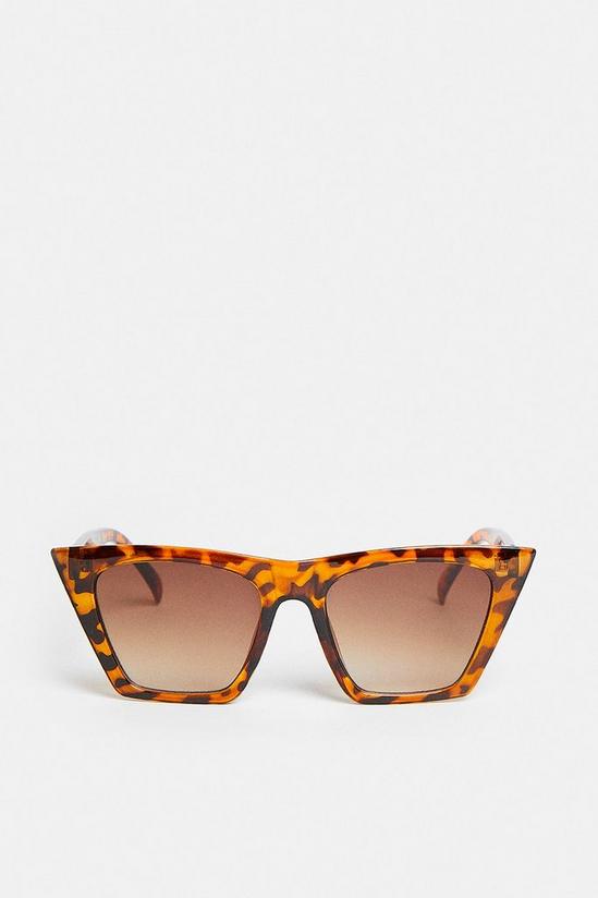Coast Cat Eye Tortoiseshell Sunglasses 1
