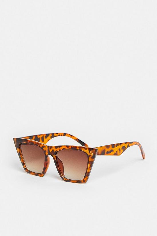 Coast Cat Eye Tortoiseshell Sunglasses 2