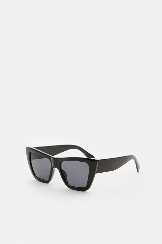 Coast Cat Eye Square Sunglasses 1