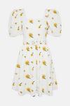 Coast Embroidered Cotton Broderie Mini Dress With Belt thumbnail 5