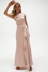 Coast Premium Ruffle Skirt Cowl Back Maxi Dress thumbnail 3