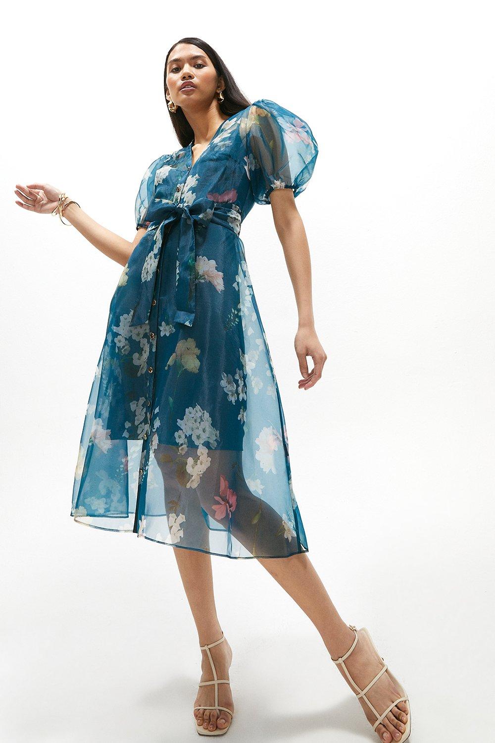 Coast sales organza dress