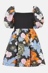 Coast Puff Sleeve Jacquard Mini Dress thumbnail 4
