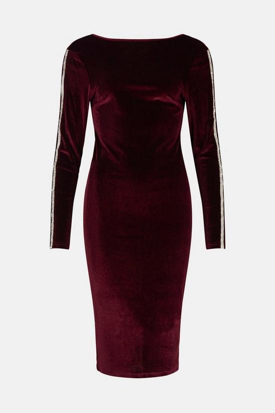 Coast Hotfix Sleeve Detail Velvet Dress 4