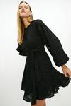 Coast Broderie Long Sleeve Tie Waist Swing Dress With Godets thumbnail 1