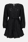 Coast Broderie Long Sleeve Tie Waist Swing Dress With Godets thumbnail 4