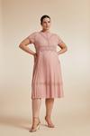 Coast Plus Size Lace Bodice Pleat Skirt Midi Dress thumbnail 1