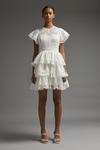 Coast Panelled Lace Tiered Dress thumbnail 1