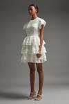 Coast Panelled Lace Tiered Dress thumbnail 2