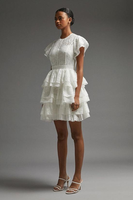 Coast Panelled Lace Tiered Dress 2