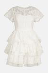 Coast Panelled Lace Tiered Dress thumbnail 4