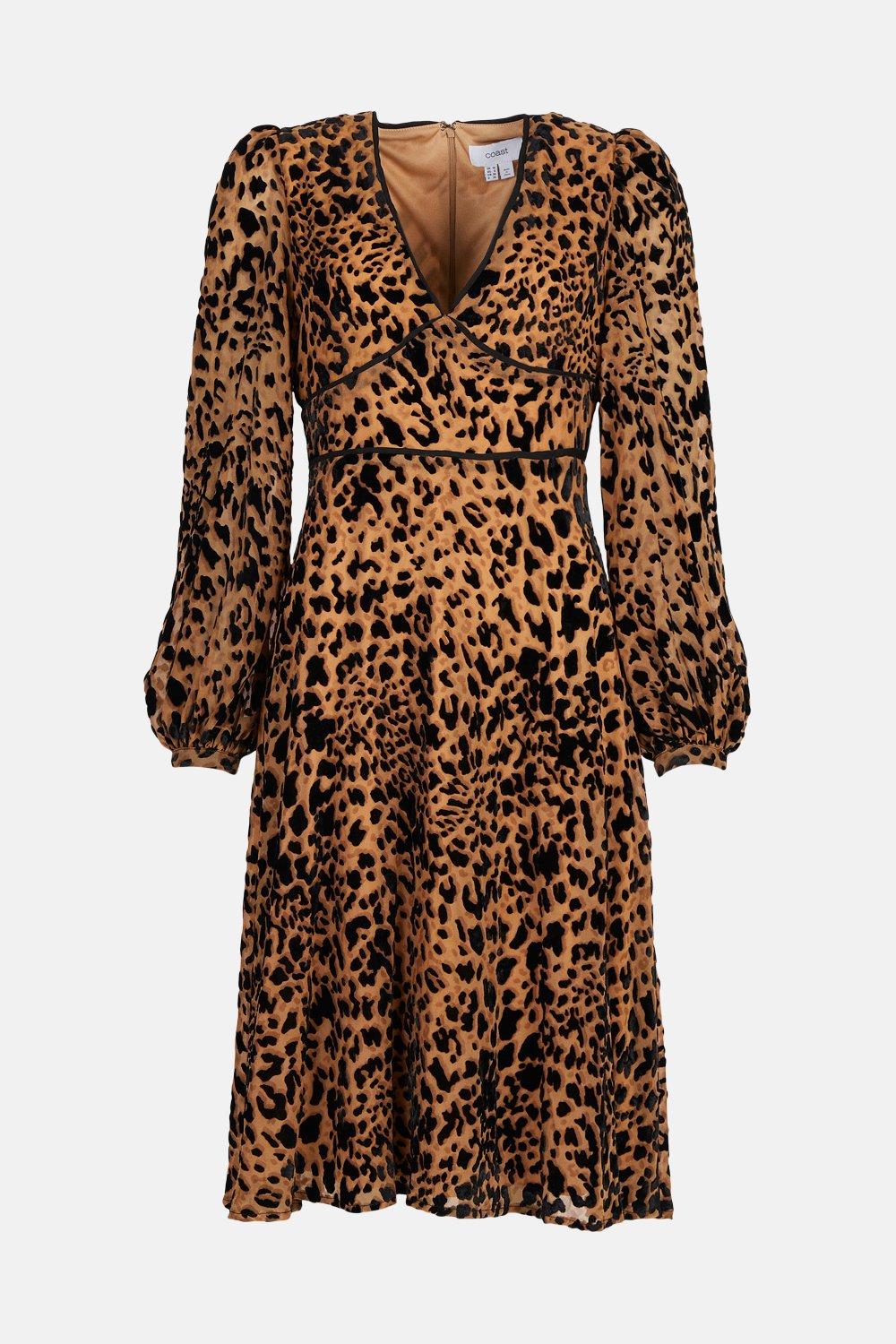 Coast leopard 2025 print dress