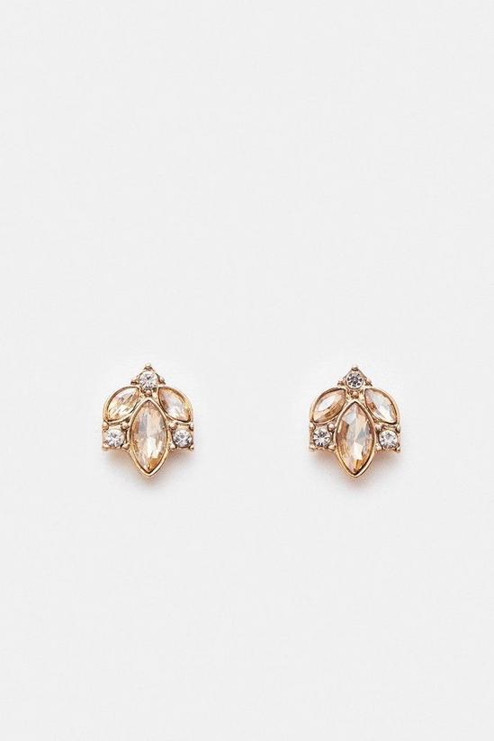 Coast Diamante And Gem Cluster Stud Earrings 2