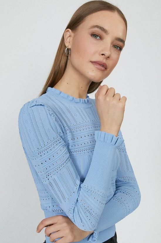 Coast Pointelle Knitted Jumper 1