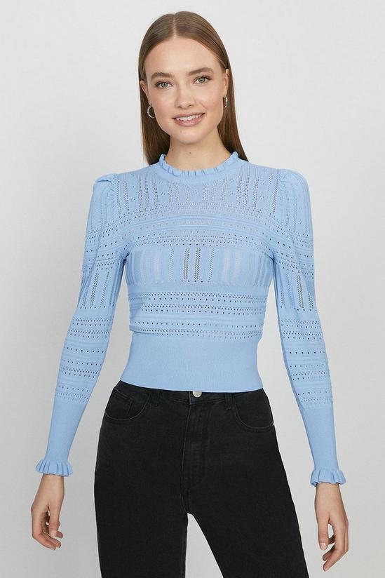 Coast Pointelle Knitted Jumper 2