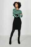 Coast Stripe Knitted Dress With Pencil Skirt thumbnail 2