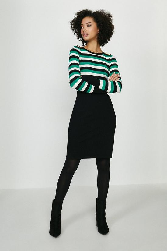 Coast Stripe Knitted Dress With Pencil Skirt 2