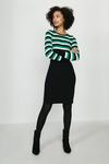 Coast Stripe Knitted Dress With Pencil Skirt thumbnail 4