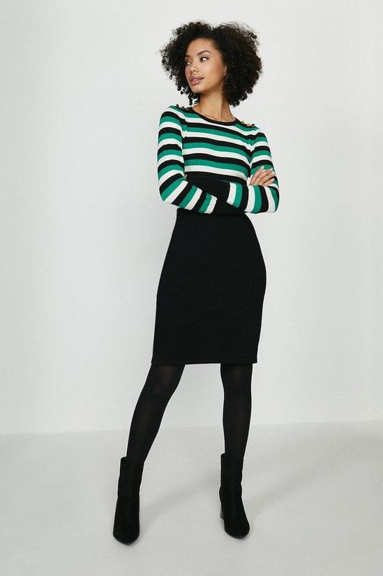 Coast Stripe Knitted Dress With Pencil Skirt 4