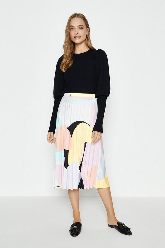 Coast Slinky Jersey Pleated Skirt 1