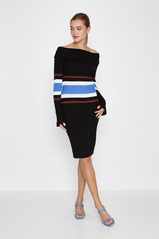 Coast Bardot Stripe Knitted Mini Dress 1