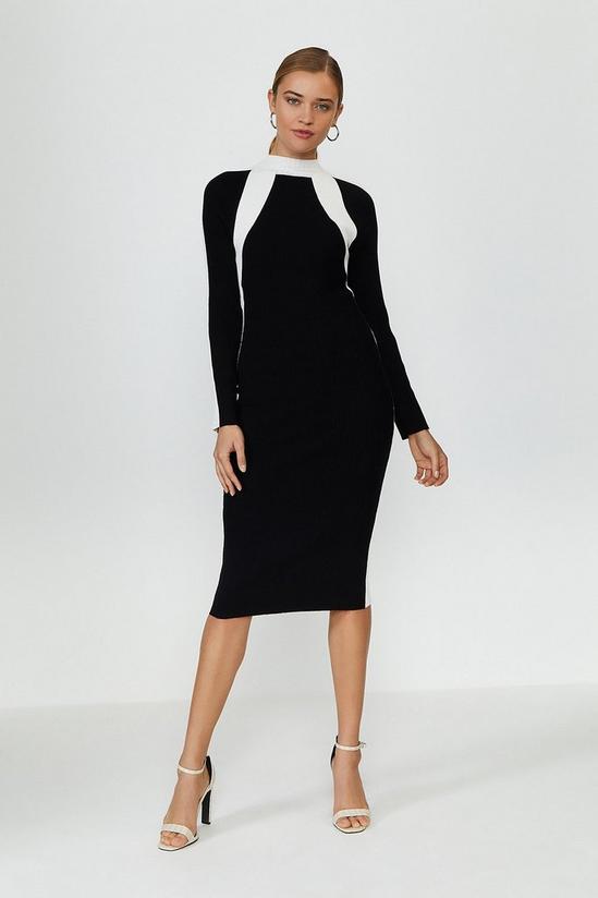 Coast Long Sleeve Knitted Funnel Neck Dress 1