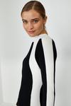 Coast Long Sleeve Knitted Funnel Neck Dress thumbnail 2