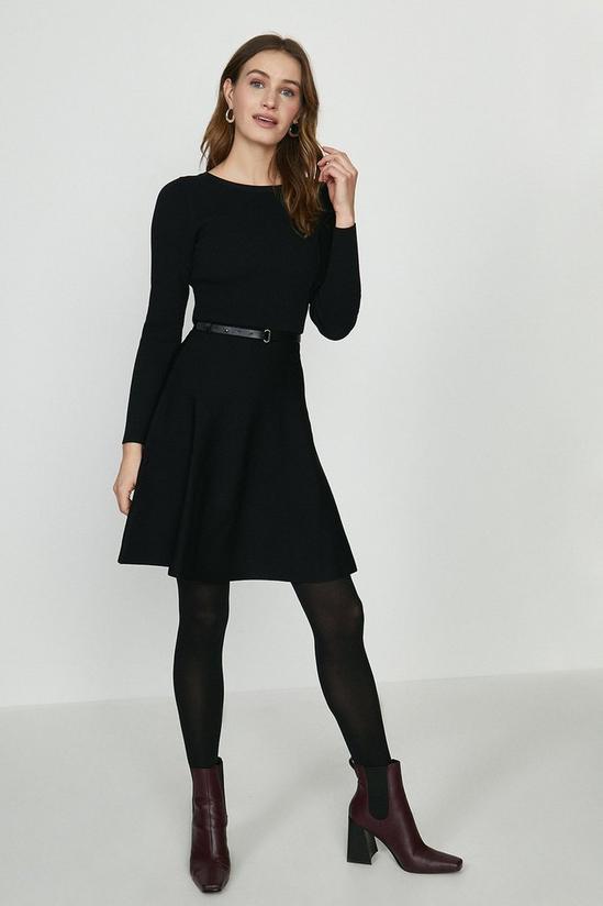 Coast Long Sleeve Knitted Crew Neck Belted Skater Dress 2