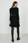 Coast Long Sleeve Knitted Crew Neck Belted Skater Dress thumbnail 3
