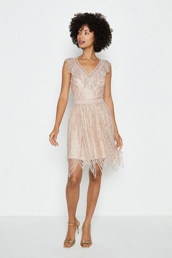 Coast Cutwork Lace Fit And Flare Short Dress 1