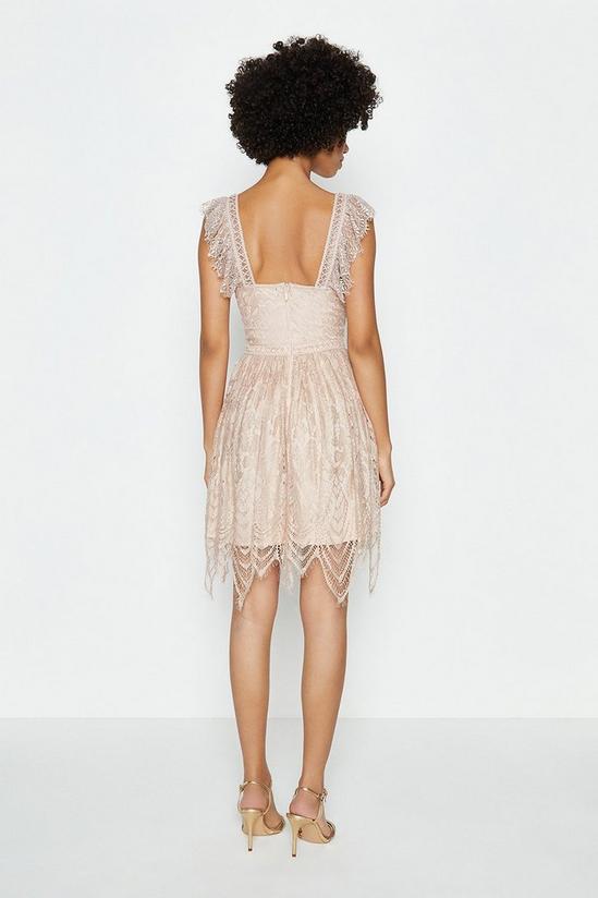Coast Cutwork Lace Fit And Flare Short Dress 3