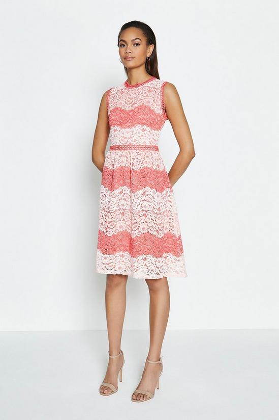 Coast Lace Stripe Dress 2