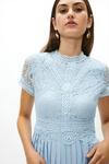Coast Lace Bodice Pleat Skirt Maxi Dress thumbnail 2