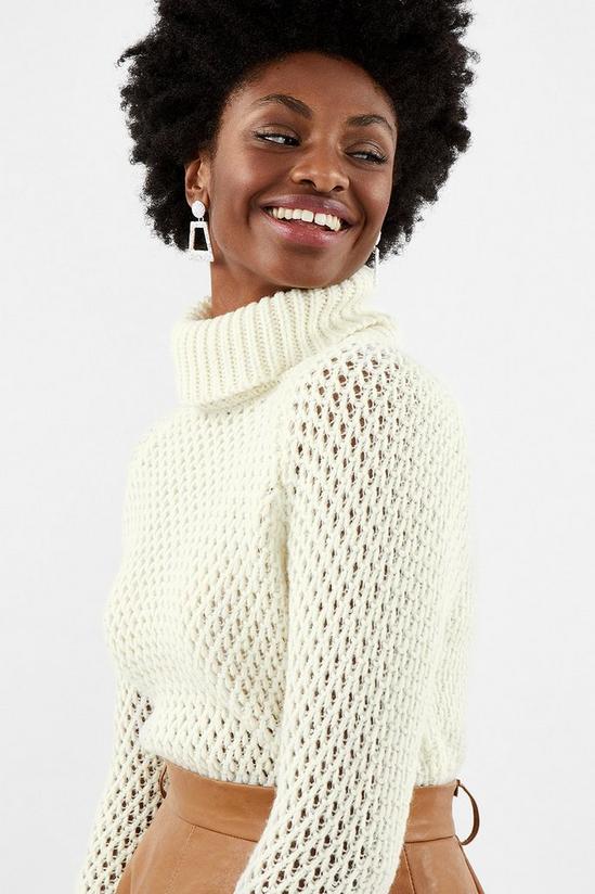 Coast Chunky Roll Neck Sequin Knit Top 1