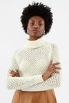Coast Chunky Roll Neck Sequin Knit Top thumbnail 2