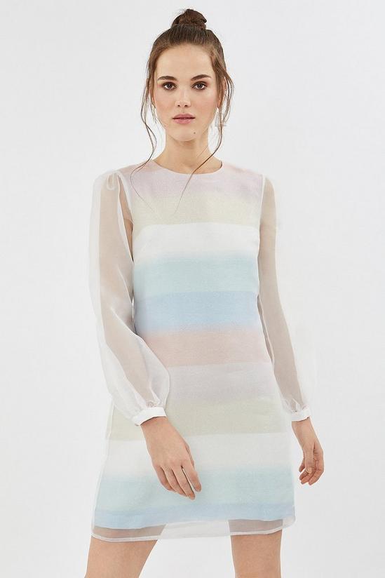 Coast Pastel Striped Organza Shift Dress 1
