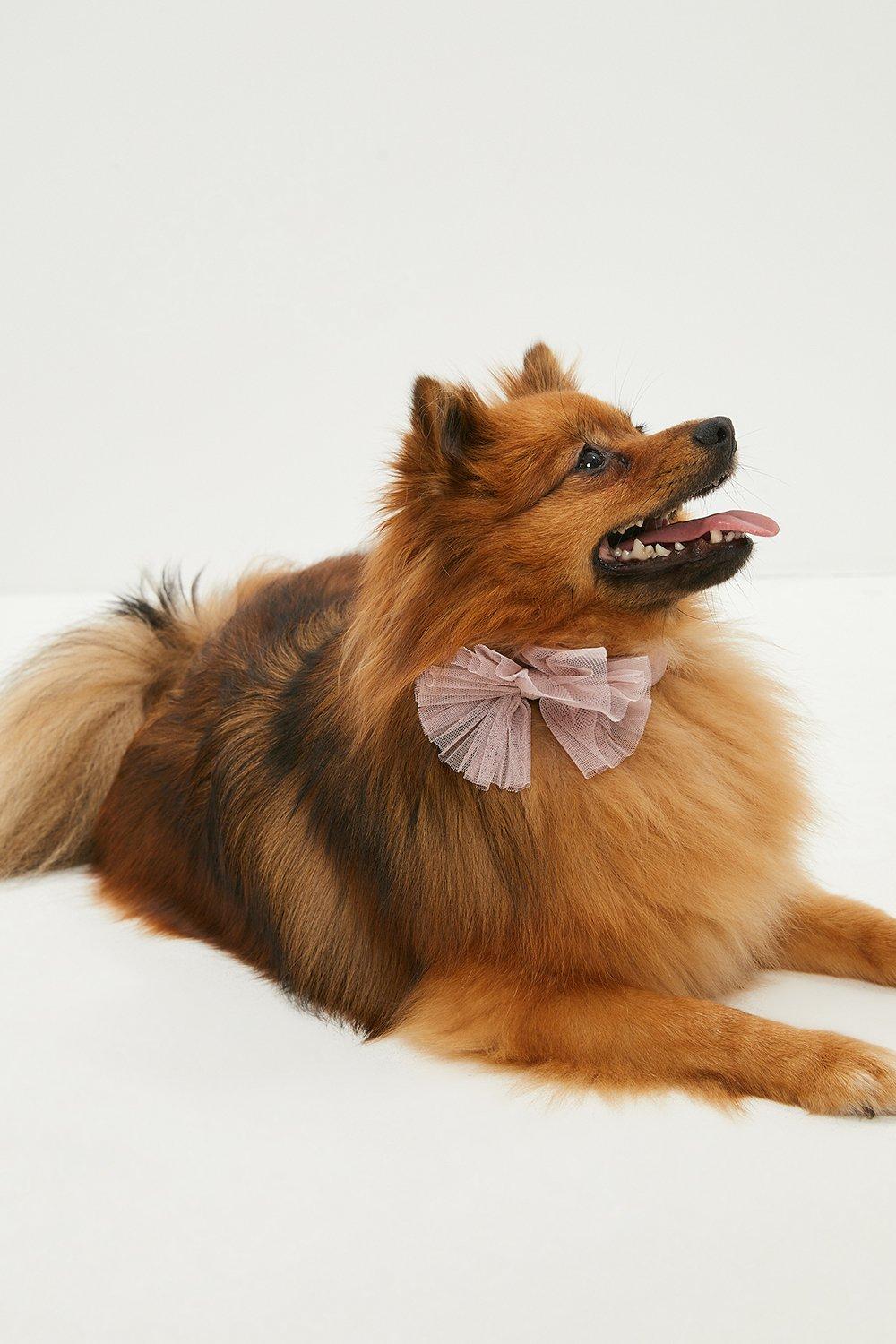 Dog Tulle Bow Tie - Pink