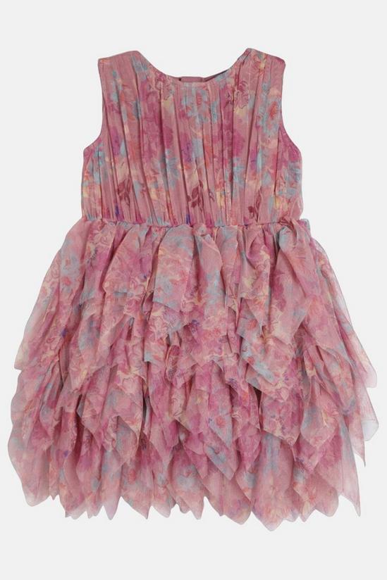 Coast Girls Statement Ruffle Print Skirt Dress 2