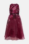 Coast Plus Size Wrap Front Full Skirt Organza Dress thumbnail 4