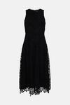 Coast Belted Lace Full Skirt Midi Dress thumbnail 4