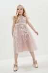 Coast Girls All Over Embroidered Frill Sleeve Dress thumbnail 1