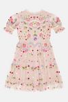 Coast Girls Puff Sleeve All Over Embroidered Dress thumbnail 2