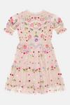 Coast Girls Puff Sleeve All Over Embroidered Dress thumbnail 3
