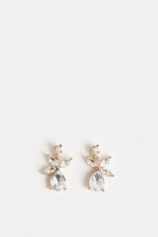 Coast Diamante Drop Earrings 1