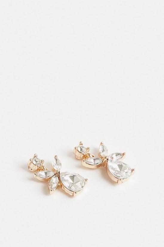 Coast Diamante Drop Earrings 3