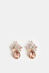 Coast Pink Diamante Drop Earrings thumbnail 1