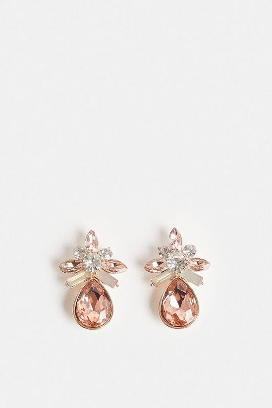 Coast Pink Diamante Drop Earrings 1